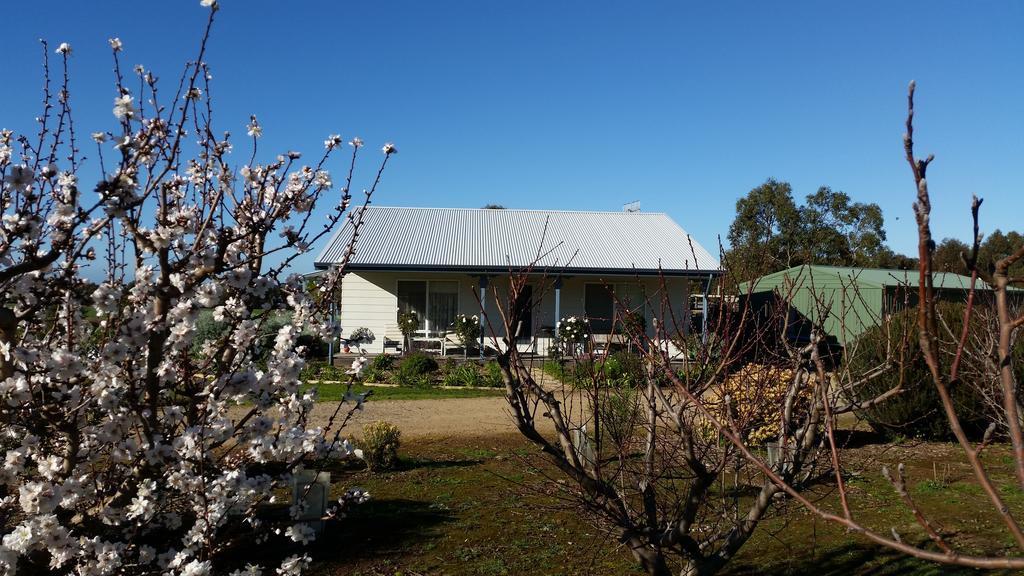 Linger Longer Cottages Port Elliot Exteriör bild
